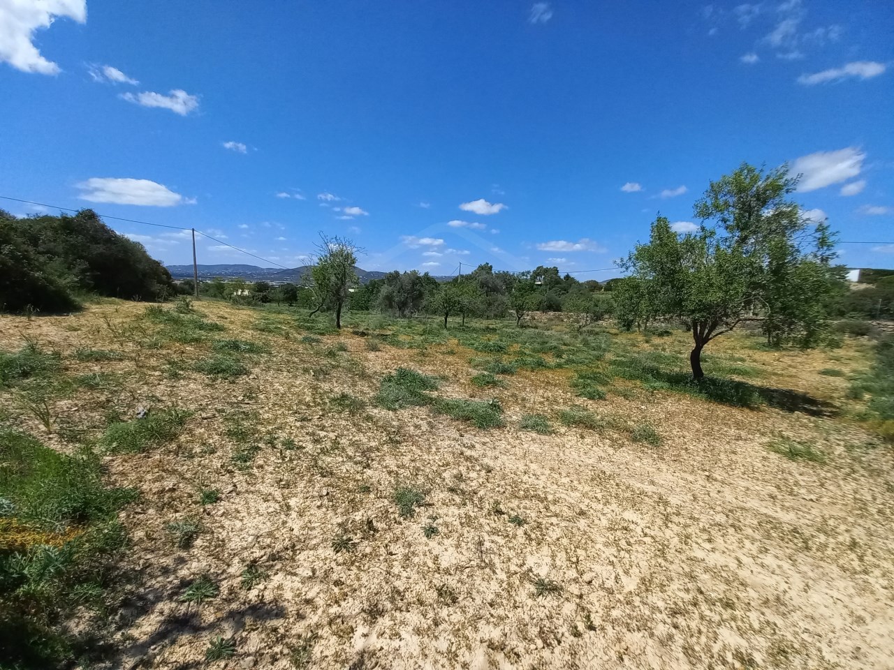 5080m² Land in Faro, Portugal No. 60556