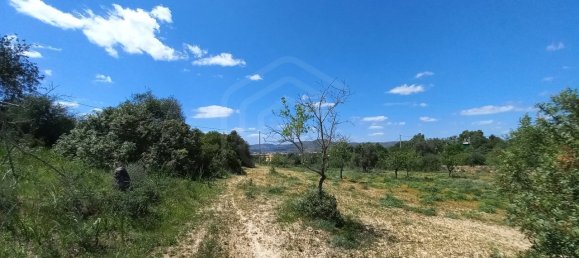 5080m² Land in Faro, Portugal No. 60556 11