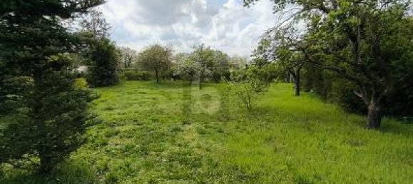 Terreno em Peine, Germany 554 m² N.º 369845 4