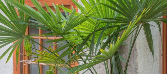 2 bedrooms Apartment in Tours, France No. 68030 3