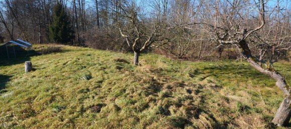 5-salle Maison à Mureck, Austria No. 193487 14