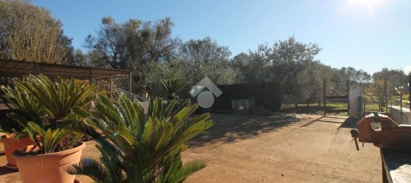 4 rooms Villa in Ostuni, Italy No. 170244 10