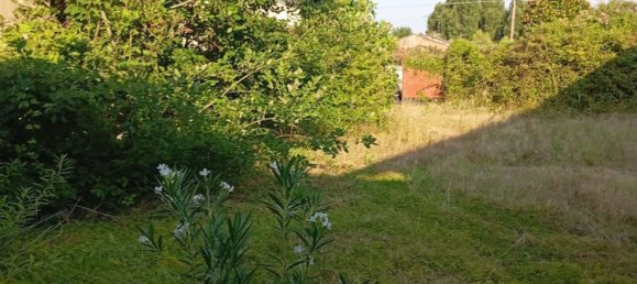 8-salle Maison à Pertengo, Italy No. 263406 8