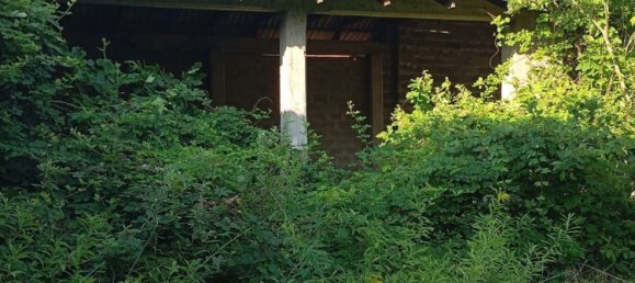 8-salle Maison à Pertengo, Italy No. 263406 13