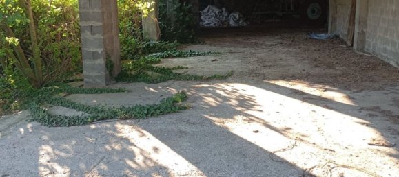 8-salle Maison à Pertengo, Italy No. 263406 15