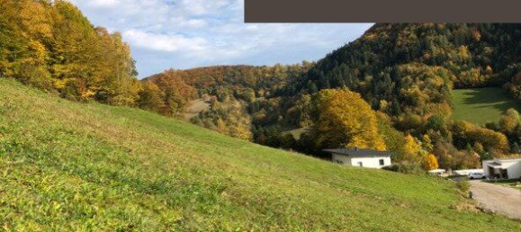 Terreno em Loich, Austria N.º 192643 3