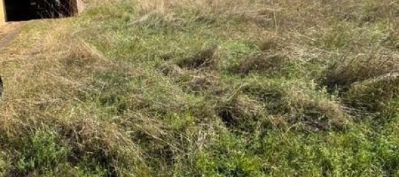 Terreno en Trier-Saarburg, Germany No. 341417 6