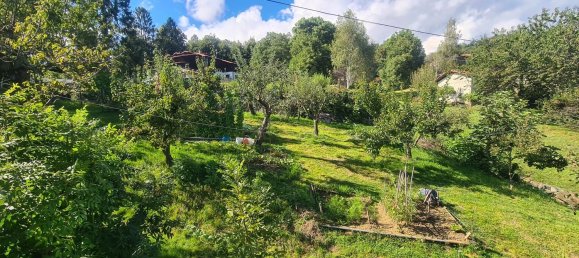 8 bedrooms House in Netro, Italy No. 341814 6