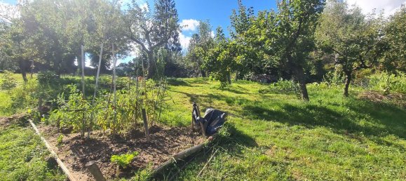 8 bedrooms House in Netro, Italy No. 341814 9