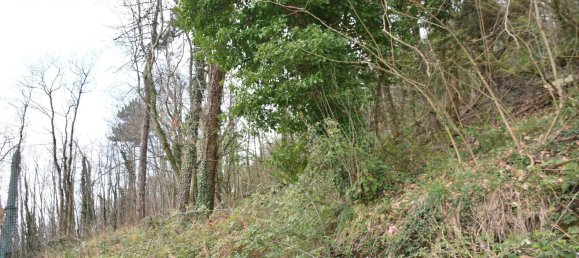 Вилла с 4 спальнями в Варацце, Италия № 173688 33