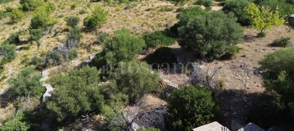 4غرفة فيلا في Noto, Italy رقم 299574 8