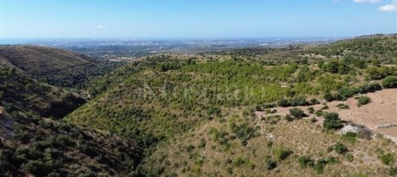 4غرفة فيلا في Noto, Italy رقم 299574 12