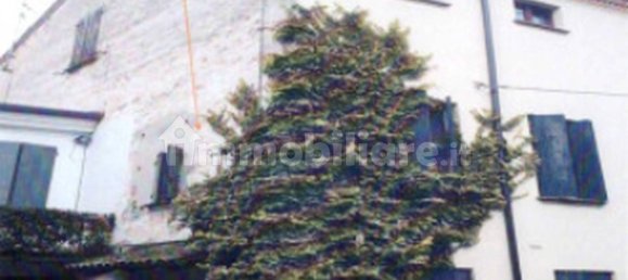 4 Schlafzimmer Gebäude in Gaiba, Italy, Nr. 353524 7