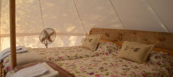  قطعة أرض في Trequanda, Italy 65000متر مربع رقم 256253 3