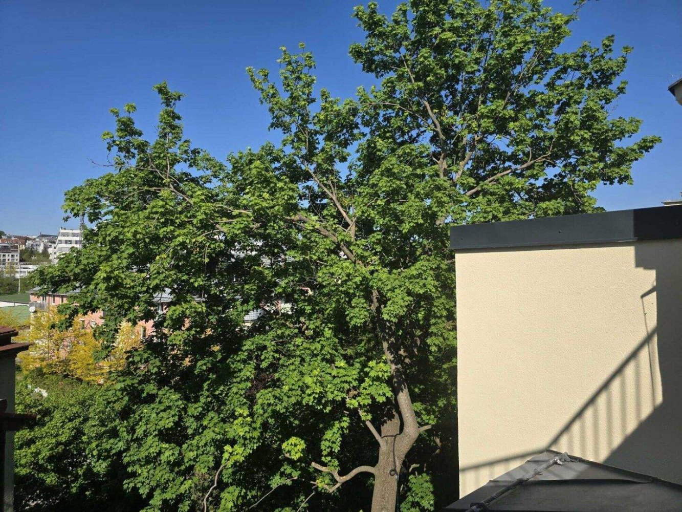 Studio in Penzing, Austria No. 227332