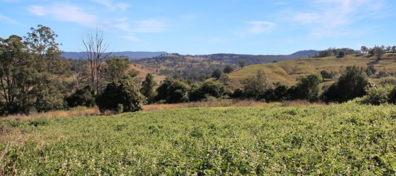  House in Kyogle, Australia No. 1026 12