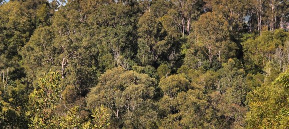  House in Kyogle, Australia No. 1026 14