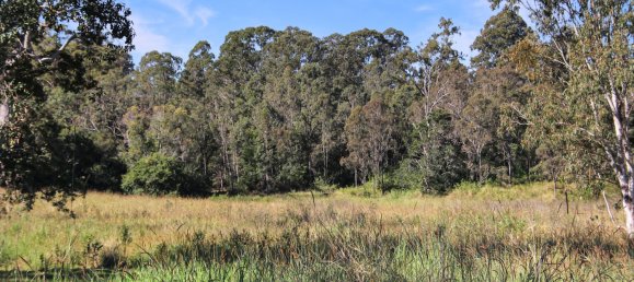  House in Kyogle, Australia No. 1026 10