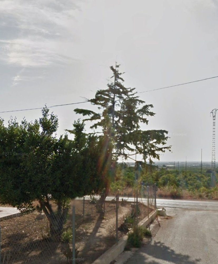 Terreno en Benifaió, Spain No. 244967