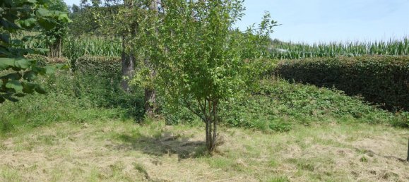 5 rooms House in Gutersloh, Germany No. 366344 5