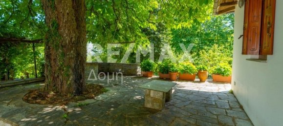 5 bedrooms Commercial property in Mouresi, Greece No. 771 16