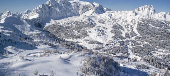 Gewerbliche Immobilie in Hermagor-Pressegger See, Austria 1000m², Nr. 135964 40