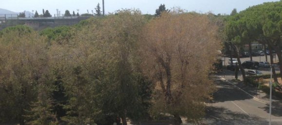 Квартира с 5 комнатами в Гроссето, Италия № 222511 23