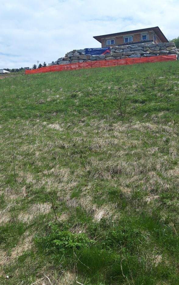  Land in Waidhofen an der Ybbs, Austria No. 256871