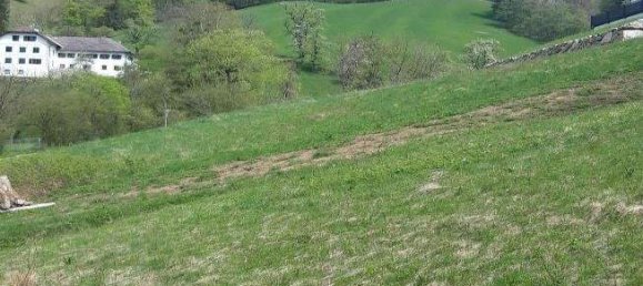  Land in Waidhofen an der Ybbs, Austria No. 256871 2