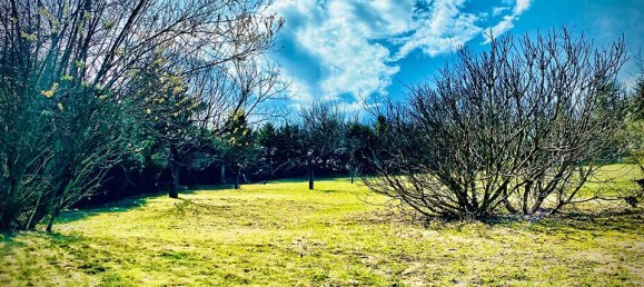  قطعة أرض في Grossebersdorf, Austria رقم 134269 4