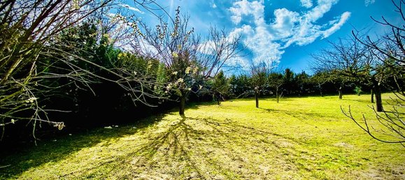  قطعة أرض في Grossebersdorf, Austria رقم 134269 5