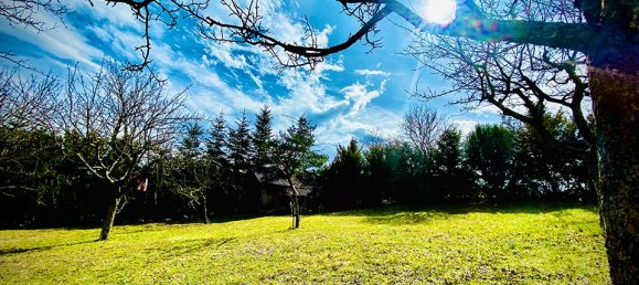  قطعة أرض في Grossebersdorf, Austria رقم 134269 6