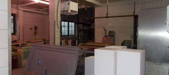 Коммерческая недвижимость с 6 комнатами в Фогельсберг, Германия № 69328 7