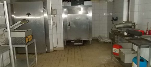 Коммерческая недвижимость с 6 комнатами в Фогельсберг, Германия № 69328 9