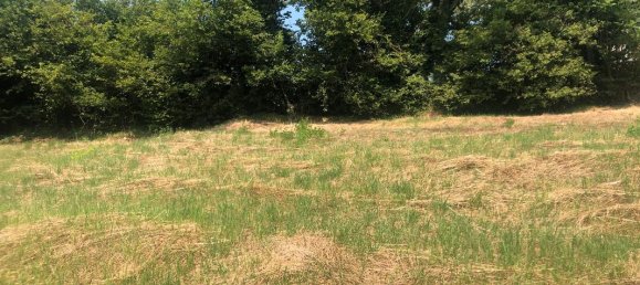 Terreno em Amplepuis, France 850 m² N.º 106995 3