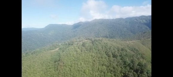 Grundstück in Perez Zeledon, Costa Rica, Nr. 1912 5