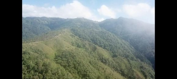 Grundstück in Perez Zeledon, Costa Rica, Nr. 1912 2