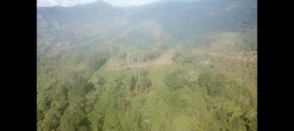 Grundstück in Perez Zeledon, Costa Rica, Nr. 1912 3