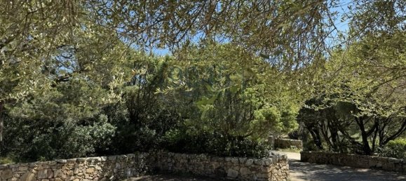 3 chambres Villa à Palau, Italy No. 19385 12