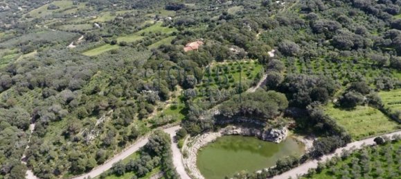 3 chambres Villa à Palau, Italy No. 19385 5