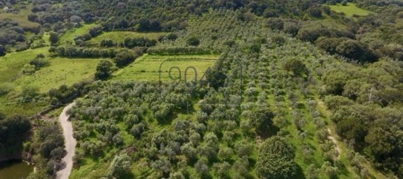 3 chambres Villa à Palau, Italy No. 19385 4