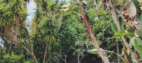 5 bedrooms House in Oeiras, Portugal No. 134809 12