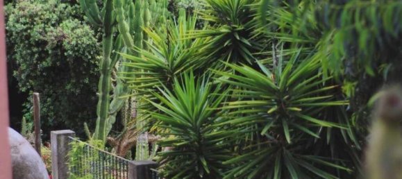 5 bedrooms House in Oeiras, Portugal No. 134809 15