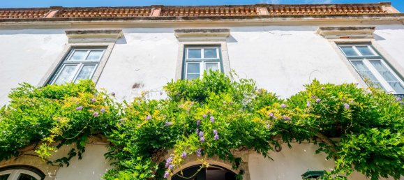 6 bedrooms Castles in Azambuja, Portugal No. 54701 8