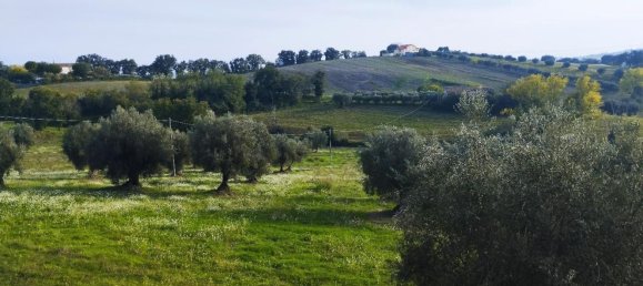 6 rooms House in Senigallia, Italy No. 160332 14