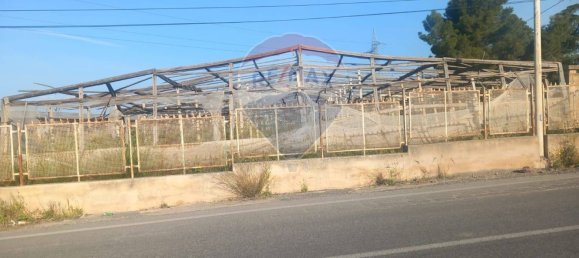 Terrain à Vittoria, Italy 19880m² No. 362054 6