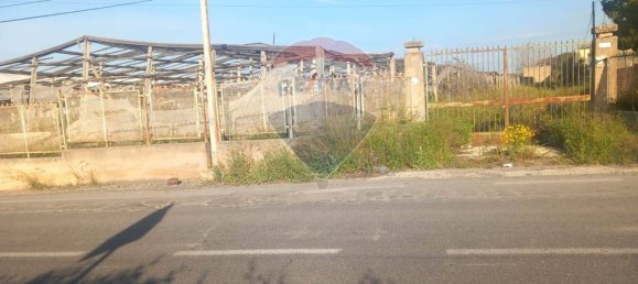 Terrain à Vittoria, Italy 19880m² No. 362054 2