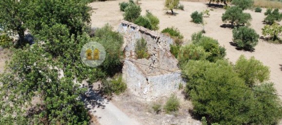 4 bedrooms House in Santa Catarina da Fonte do Bispo, Portugal No. 68739 14