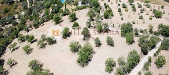 4 bedrooms House in Santa Catarina da Fonte do Bispo, Portugal No. 68739 8