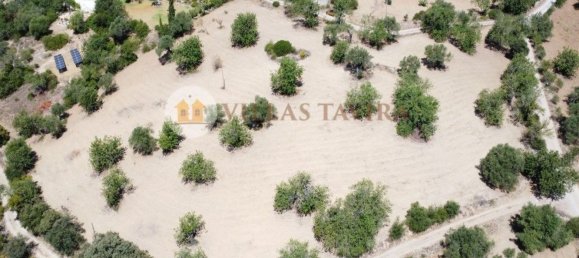 4 bedrooms House in Santa Catarina da Fonte do Bispo, Portugal No. 68739 13